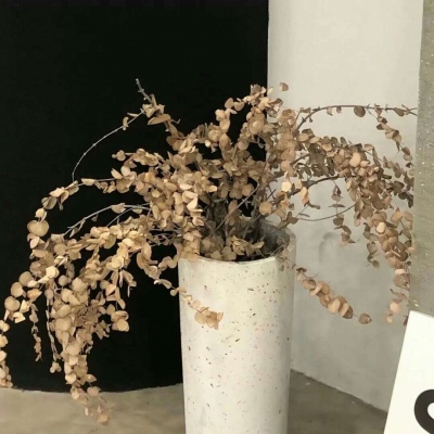 Furry手绘上色教程FurryQQ群